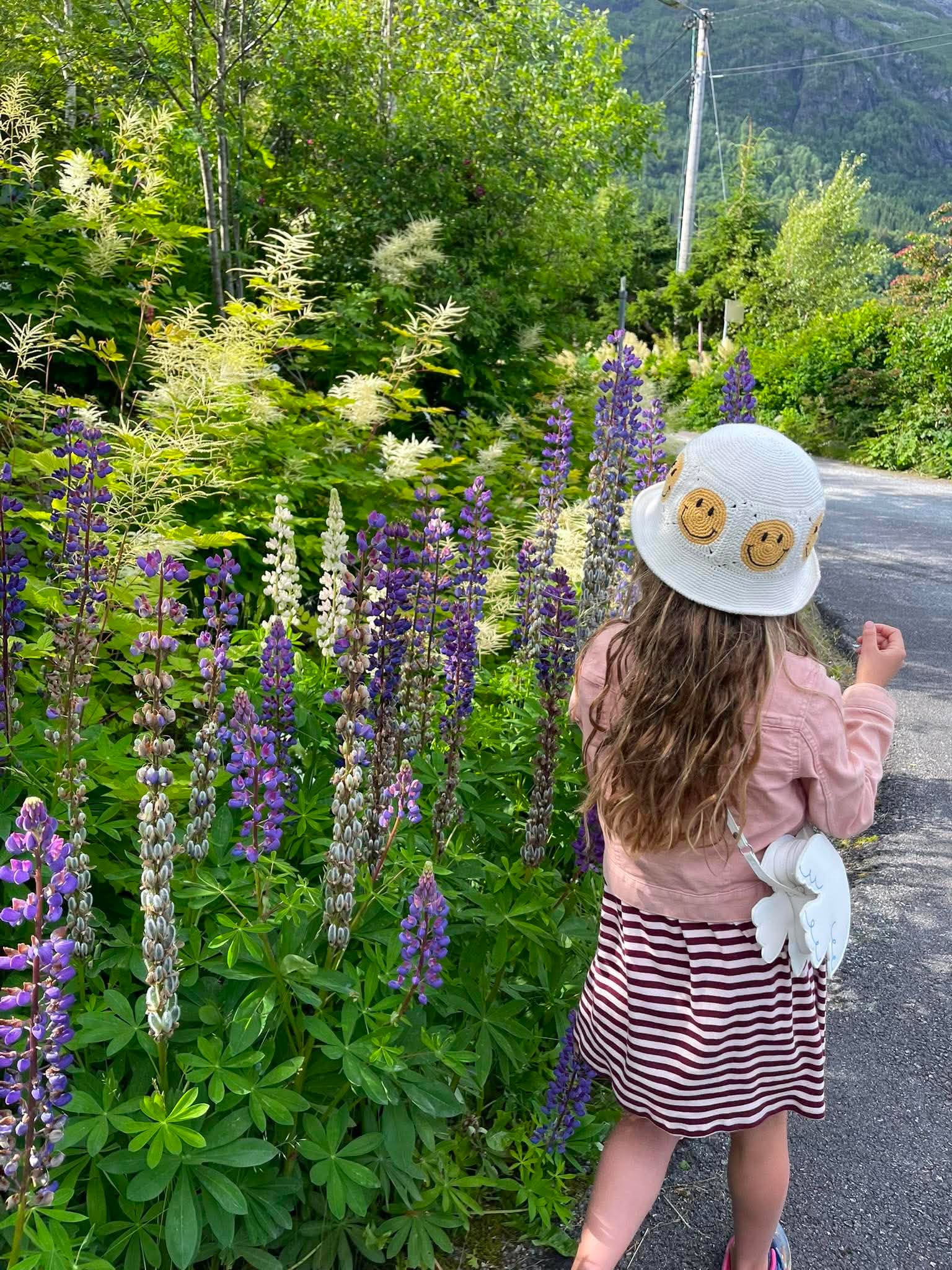 Den Glade Bøllehat